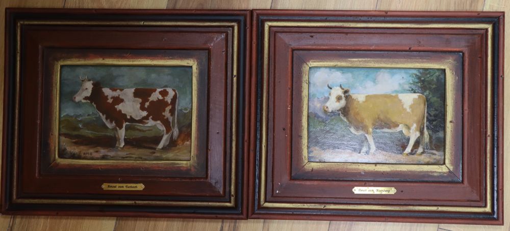 Andrea Mosimann-Grass, two oils on board, Studies of cows, initialled, 15 x 20cm